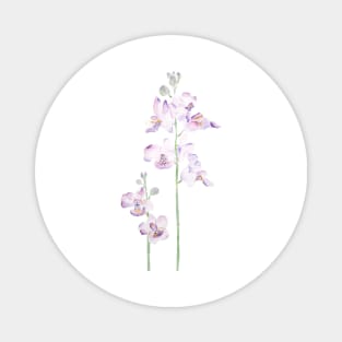 purple orchid watercolor Magnet